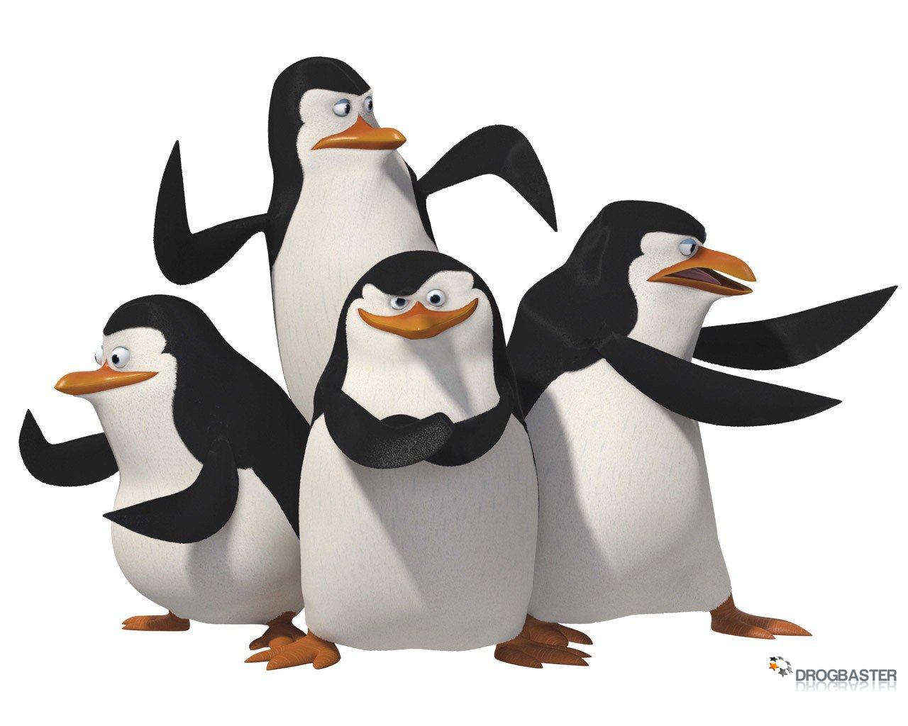 Pinguini, basta l'anteprima per la top10